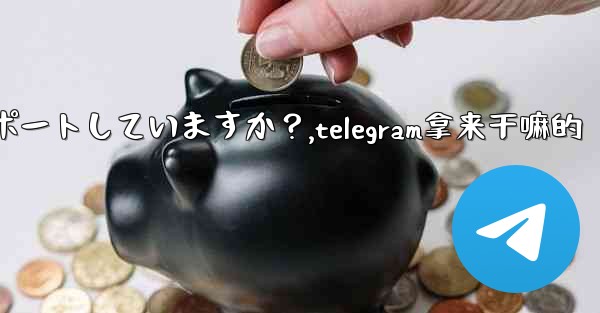 Telegram はどのサイズのファイルの送信をサポートしていますか？,telegram拿来干嘛的