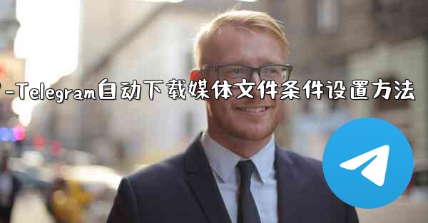 <b>Telegram がメディア ファイル (写真、ビデオ、ドキュメント) を自動的にダウンロードするための条件 (モバイル</b>