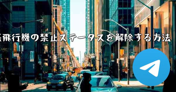 <b>紙飛行機の禁止ステータスを解除する方法</b>