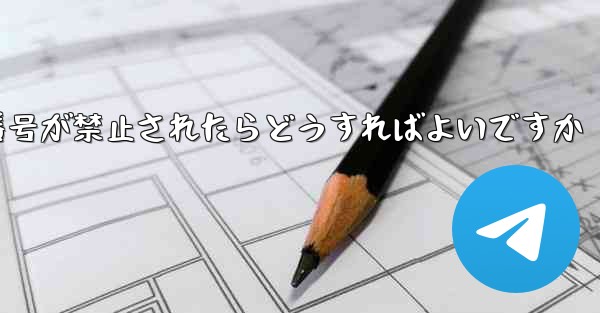 私の紙飛行機の番号が禁止されたらどうすればよいですか