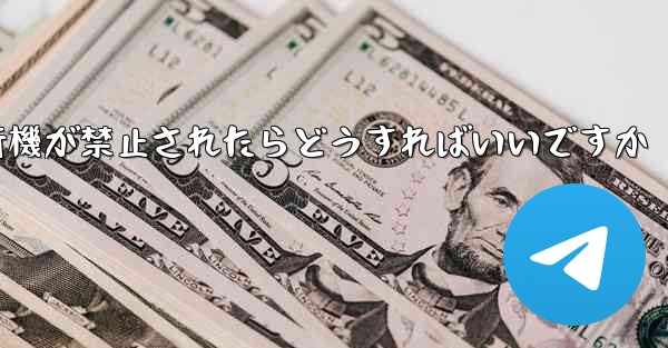 <b>紙飛行機が禁止されたらどうすればいいですか</b>