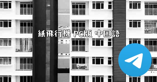 紙飛行機 PC版 中国語