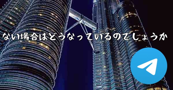 Paper Plane が SMS 認証コードを受信できない場合はどうなっているのでしょうか