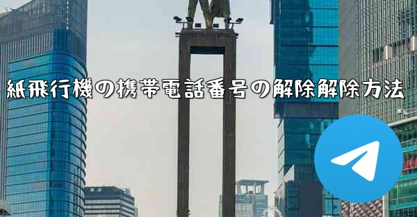紙飛行機の携帯電話番号の解除解除方法