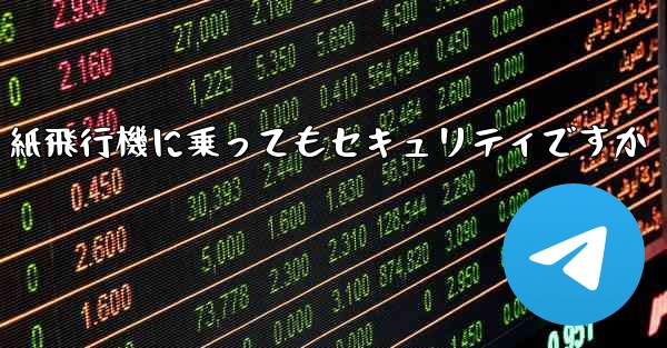 紙飛行機に乗ってもセキュリティですか