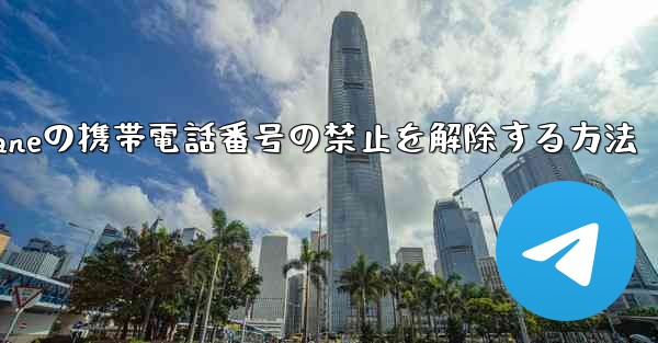 <b>Paper Planeの携帯電話番号の禁止を解除する方法</b>