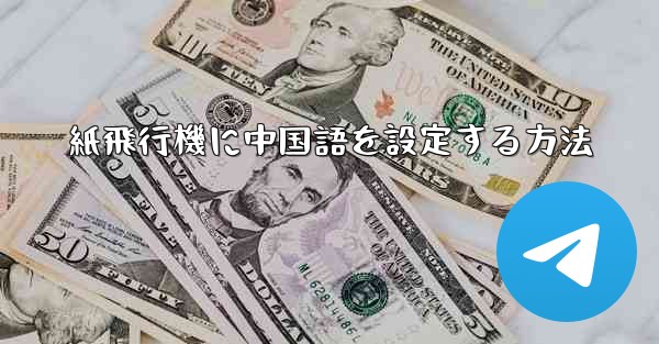 紙飛行機に中国語を設定する方法