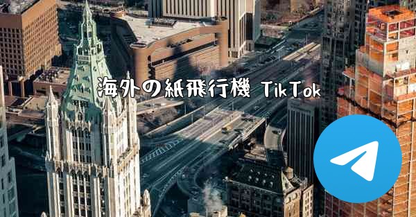 <b>海外の紙飛行機 TikTok</b>