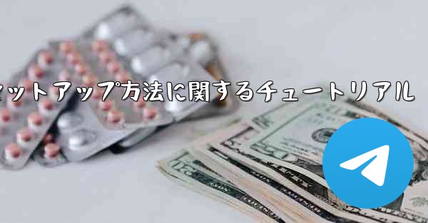 <b>中国語版紙飛行機のセットアップ方法に関するチュートリアル</b>