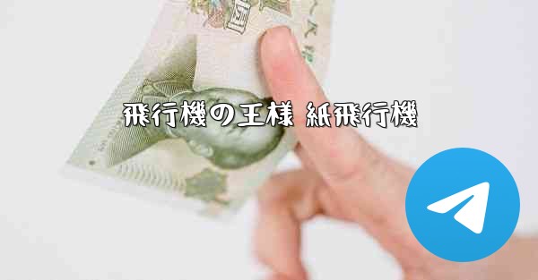 飛行機の王様 紙飛行機