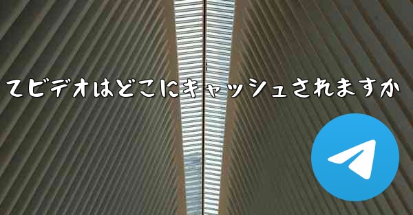 航空機によってビデオはどこにキャッシュされますか