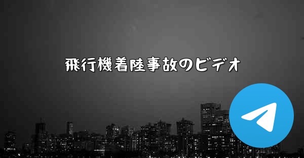 <b>飛行機着陸事故のビデオ</b>