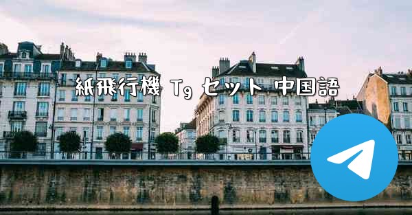 紙飛行機 Tg セット 中国語