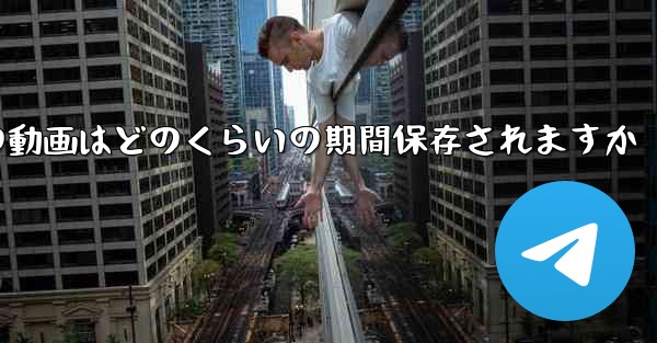 紙飛行機の動画はどのくらいの期間保存されますか