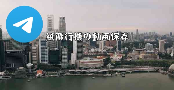 <b>紙飛行機の動画保存</b>