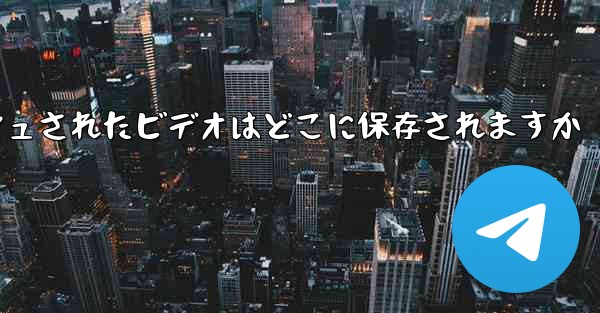 <b>Paper Plane のキャッシュされたビデオはどこに保存されますか</b>