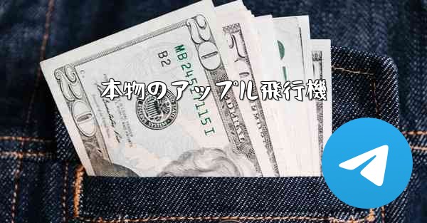 <b>本物のアップル飛行機</b>