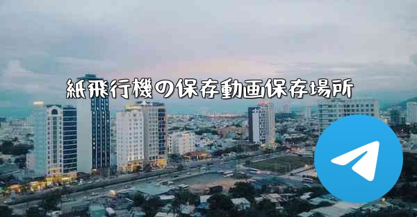 <b>紙飛行機の保存動画保存場所</b>