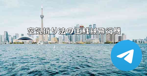 空気折り法の王様紙飛行機