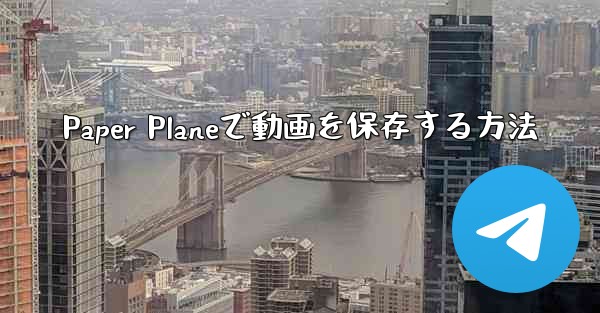 Paper Planeで動画を保存する方法