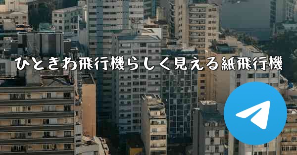 ひときわ飛行機らしく見える紙飛行機