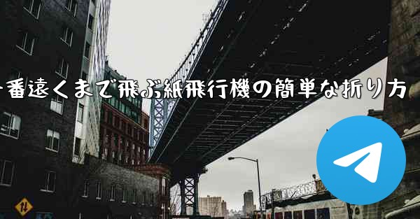 一番遠くまで飛ぶ紙飛行機の簡単な折り方
