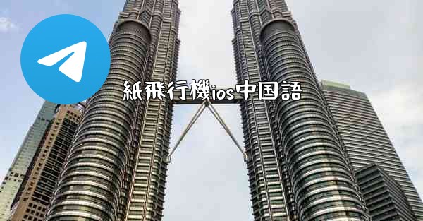 紙飛行機ios中国語