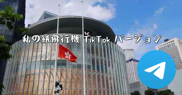 私の紙飛行機 TikTok バージョン