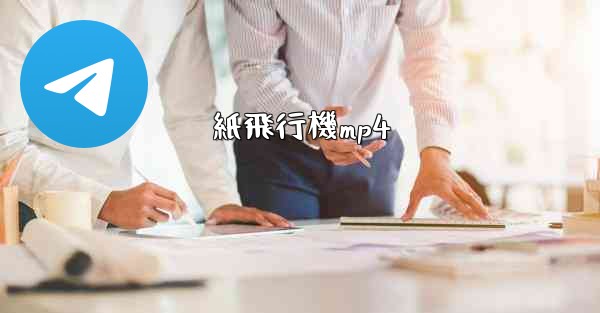 紙飛行機mp4