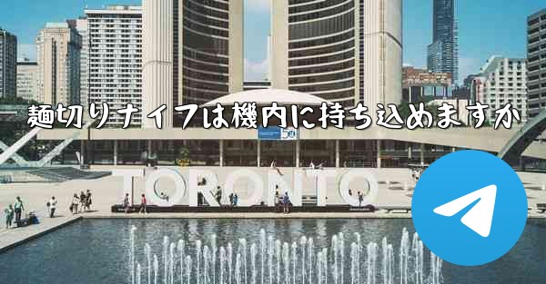 <b>麺切りナイフは機内に持ち込めますか</b>