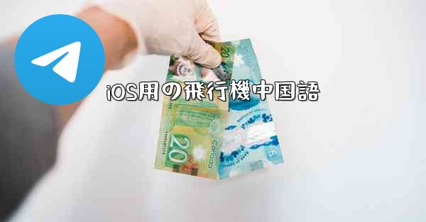 <b>iOS用の飛行機中国語</b>