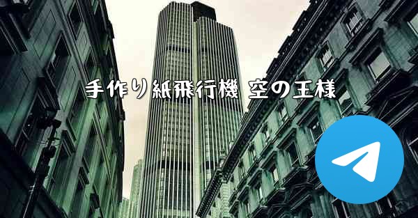 手作り紙飛行機 空の王様
