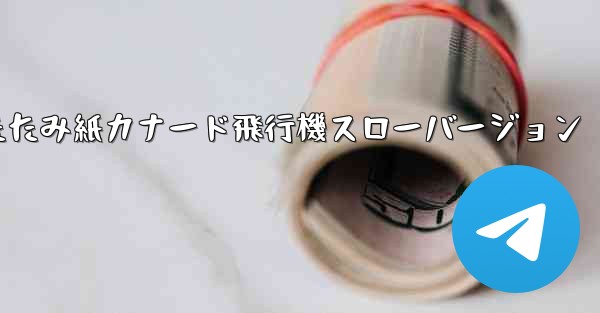 <b>折りたたみ紙カナード飛行機スローバージョン</b>