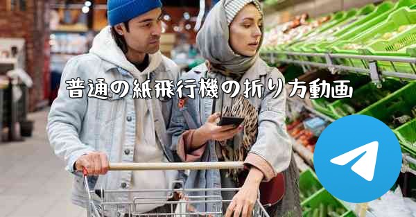 普通の紙飛行機の折り方動画