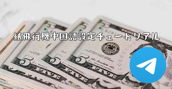 紙飛行機中国語設定チュートリアル
