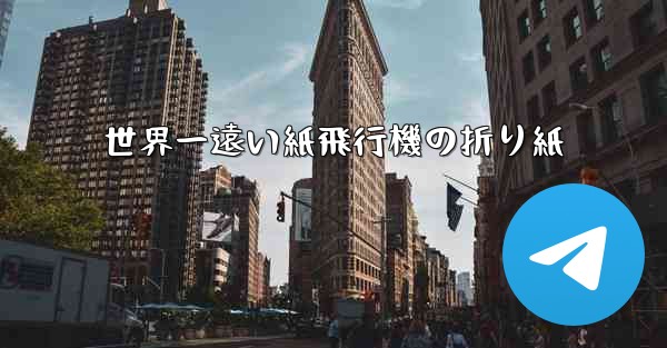 <b>世界一遠い紙飛行機の折り紙</b>