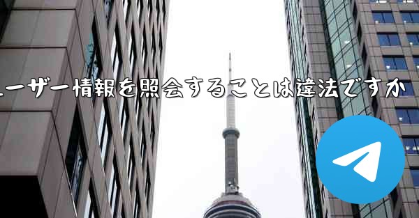 <b>Paper Plane がユーザー情報を照会することは違法ですか</b>