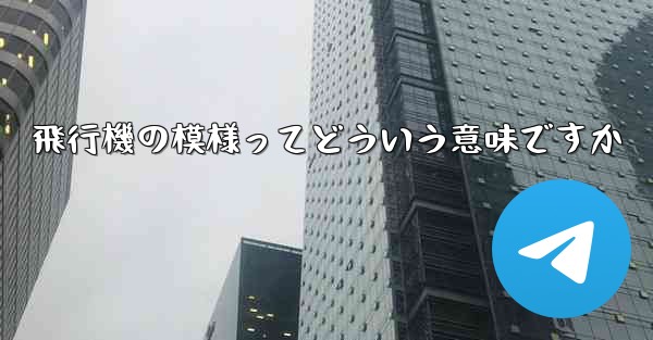 飛行機の模様ってどういう意味ですか