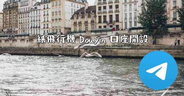<b>紙飛行機 Douyin 口座開設</b>