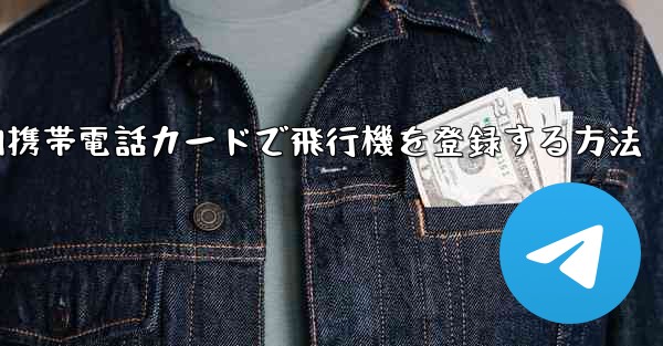 <b>国内携帯電話カードで飛行機を登録する方法</b>