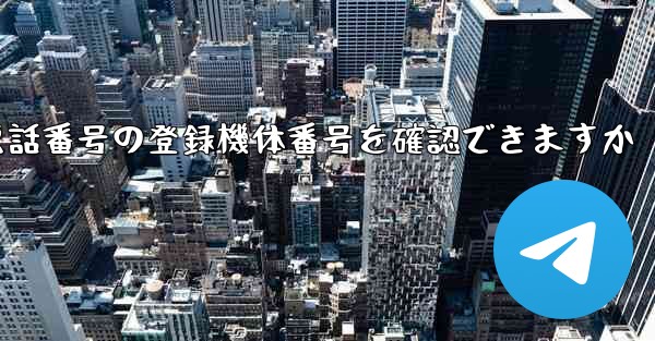国内携帯電話番号の登録機体番号を確認できますか
