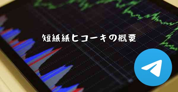 短紙紙ヒコーキの概要