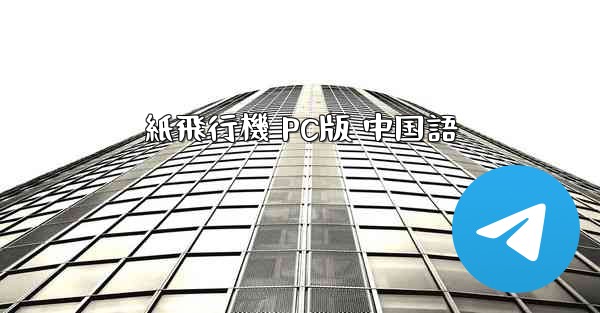 紙飛行機 PC版 中国語
