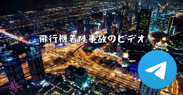 飛行機着陸事故のビデオ