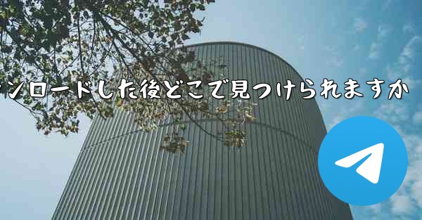 飛行機のビデオをダウンロードした後どこで見つけられますか