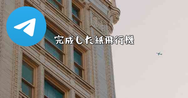 <b>完成した紙飛行機</b>