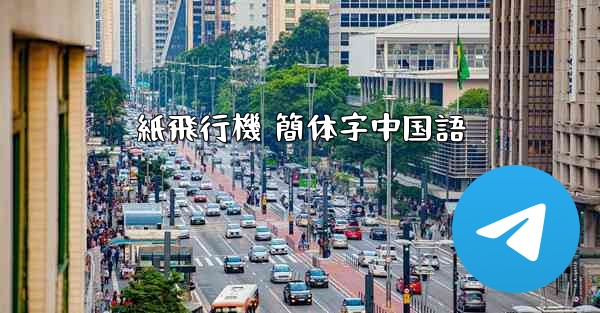 紙飛行機 簡体字中国語