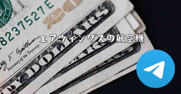 エアウィングスの航空機