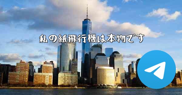 私の紙飛行機は本物です