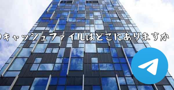 紙飛行機のキャッシュファイルはどこにありますか